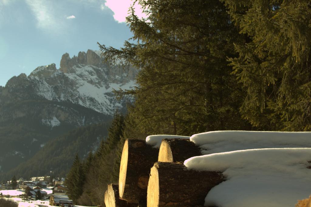 Appartamento Niki Campitello Campitello di Fassa Esterno foto